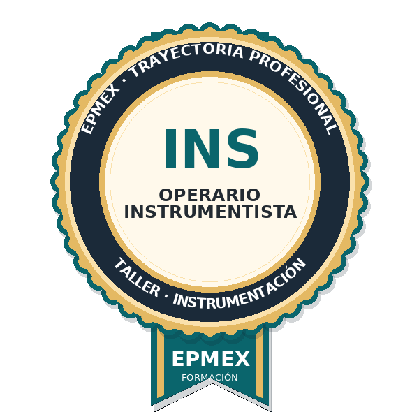 OPERARIO INSTRUMENTISTA