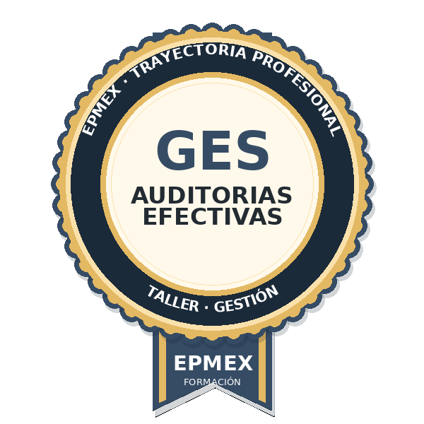 AUDITORIAS EFECTIVAS