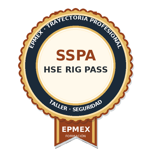 HSE RIG PASS